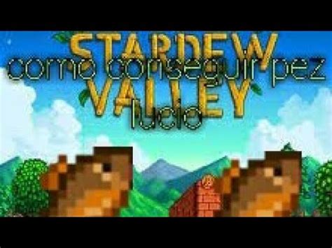 lucio stardew|como conseguir pez lucio facil en stardew valley .